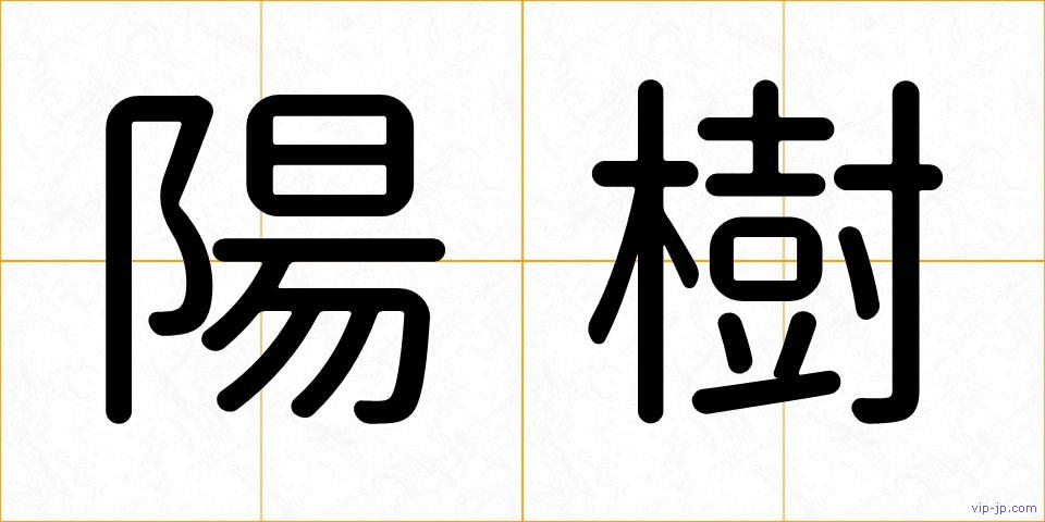 陽樹の画像