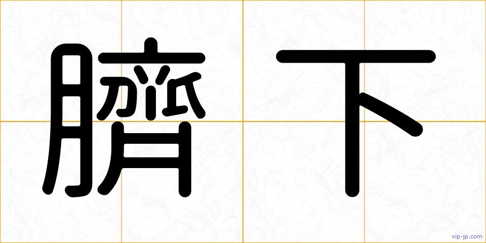 臍下の画像