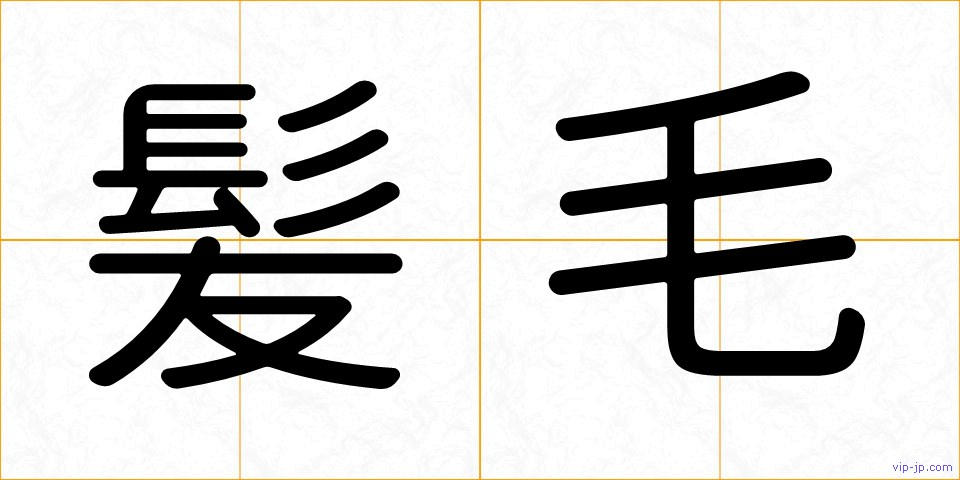 髪毛の画像