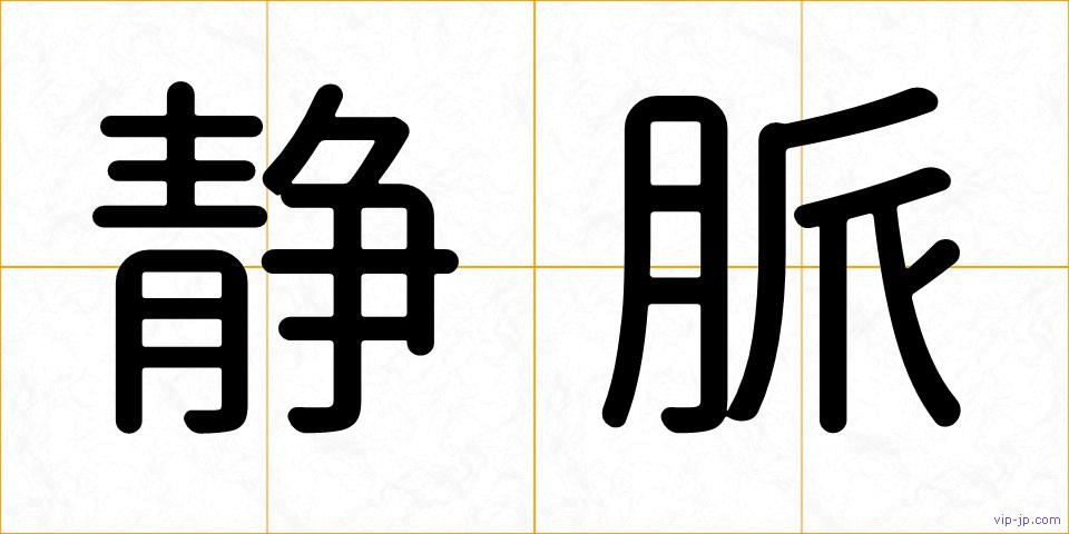静脈の画像