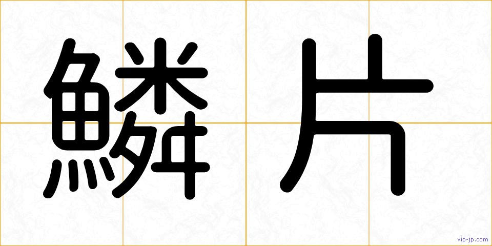 鱗片の画像