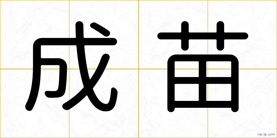成苗の画像