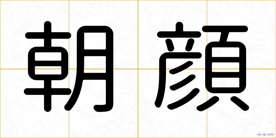 朝顔の画像