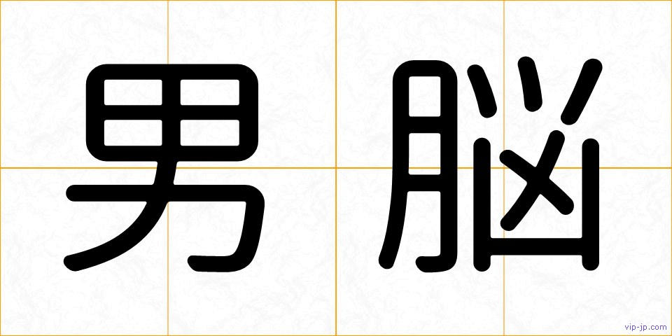 男脳の画像