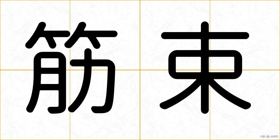 筋束の画像