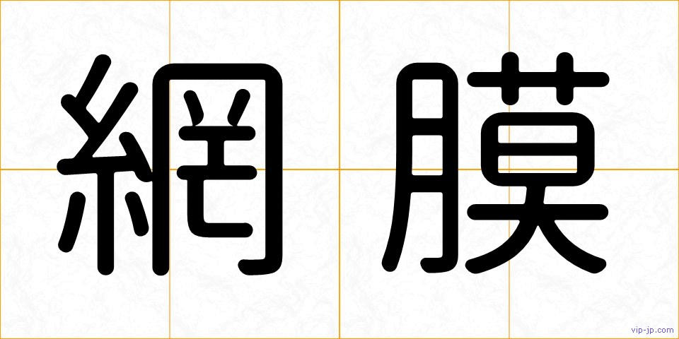 網膜の画像