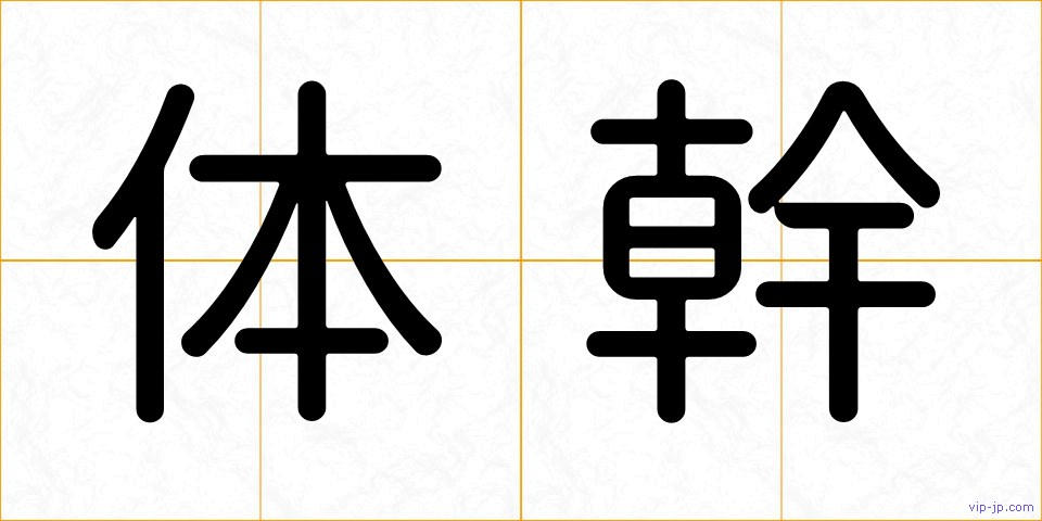 体幹の画像