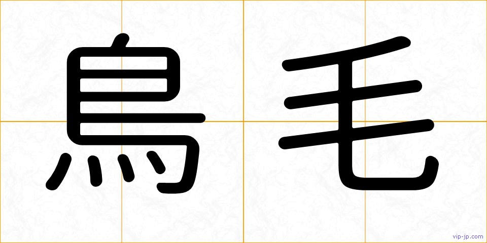 鳥毛の画像
