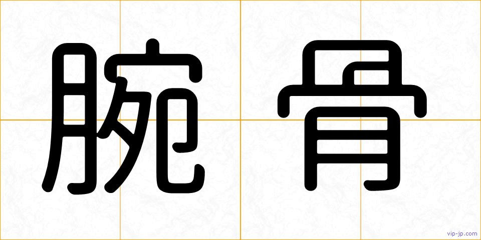 腕骨の画像