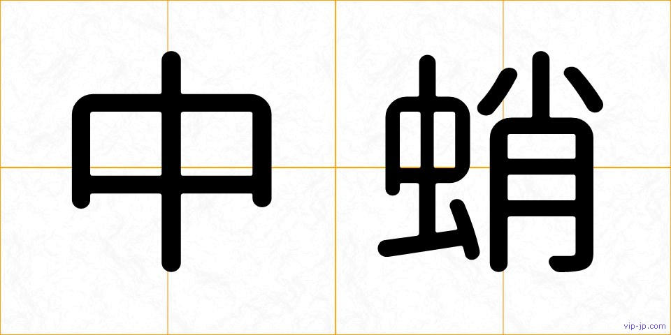 中蛸の画像