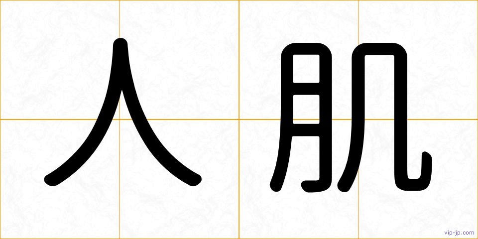 人肌の画像