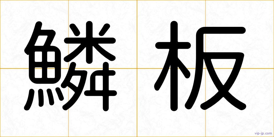 鱗板の画像