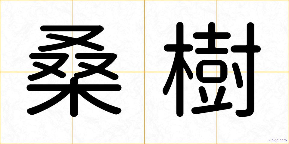 桑樹の画像