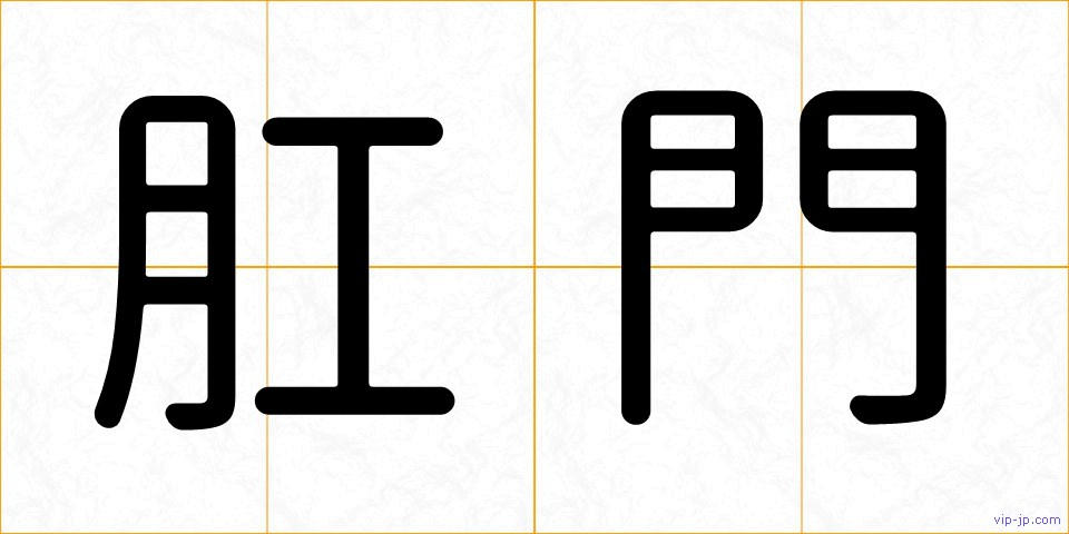 肛門の画像