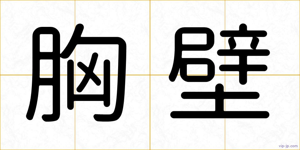 胸壁の画像