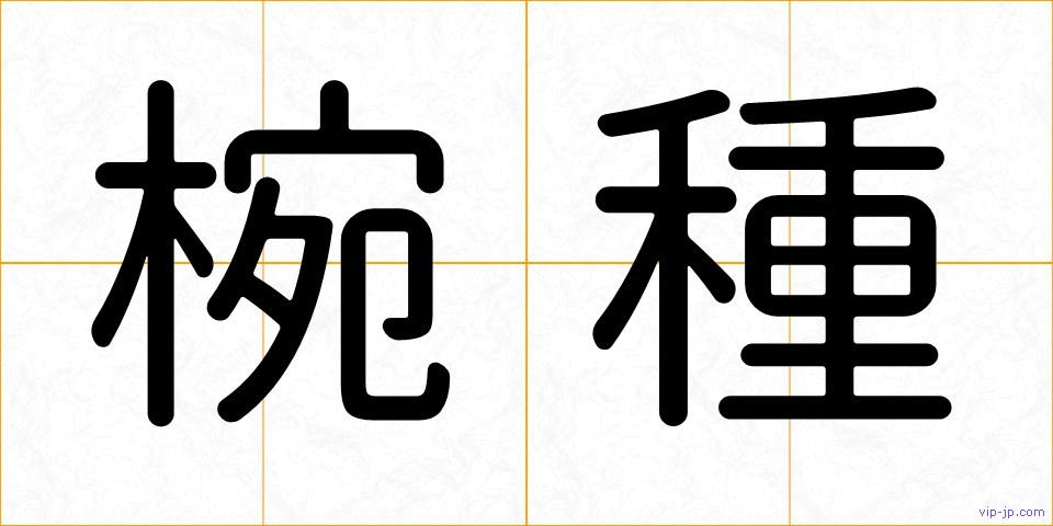 椀種の画像