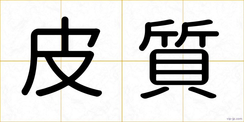 皮質の画像