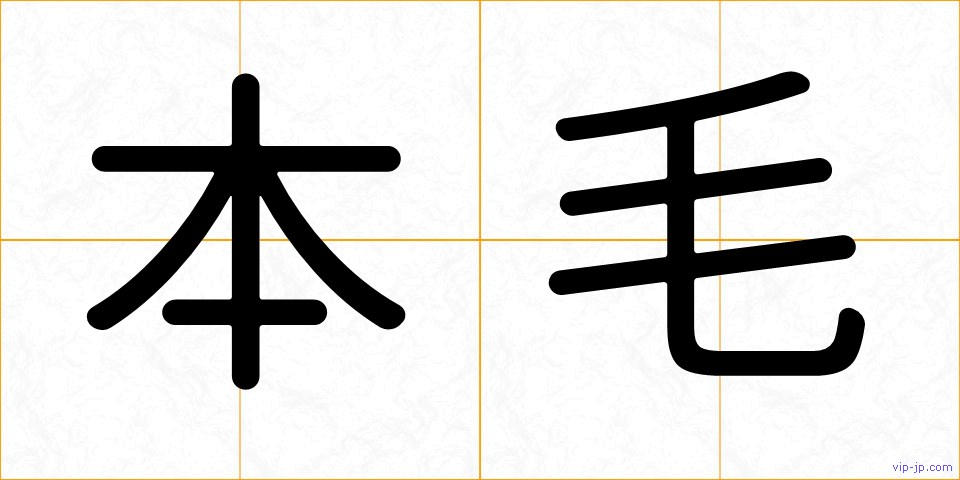 本毛の画像
