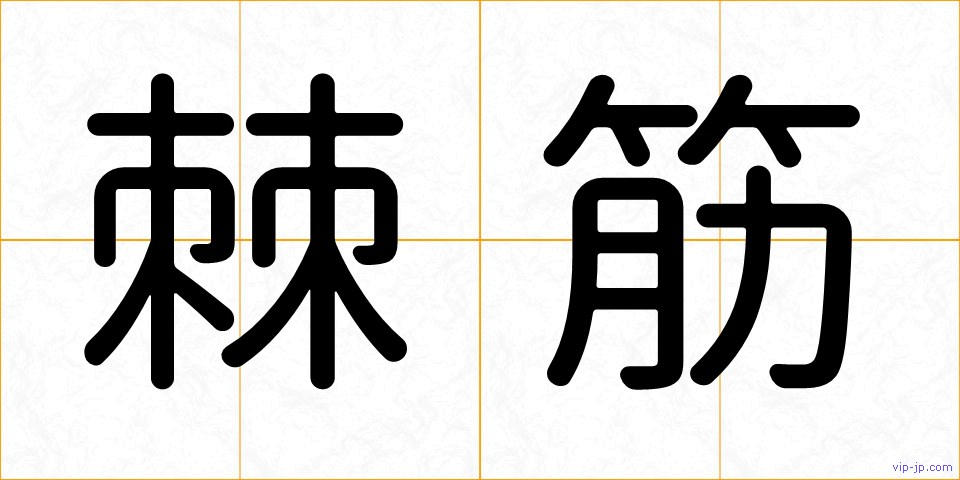 棘筋の画像