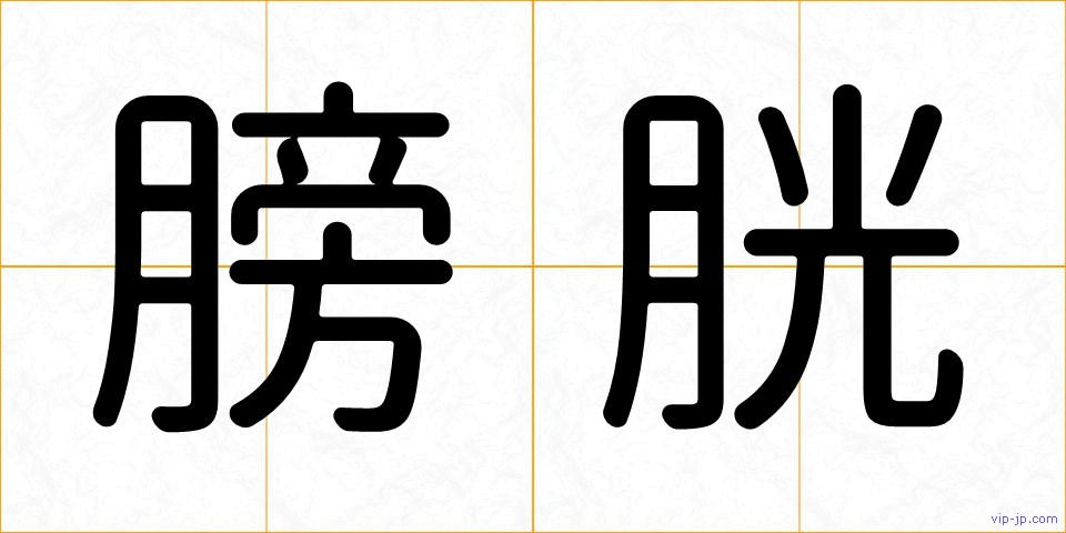 膀胱の画像