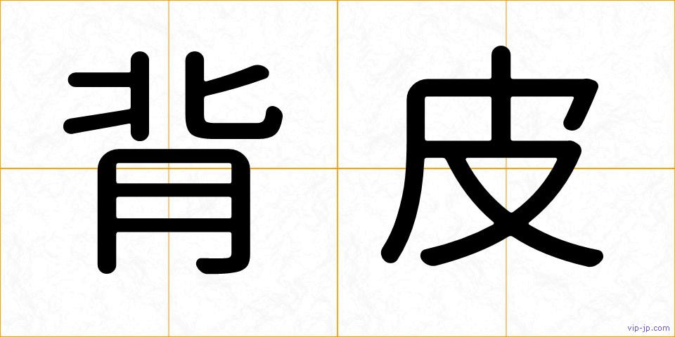 背皮の画像