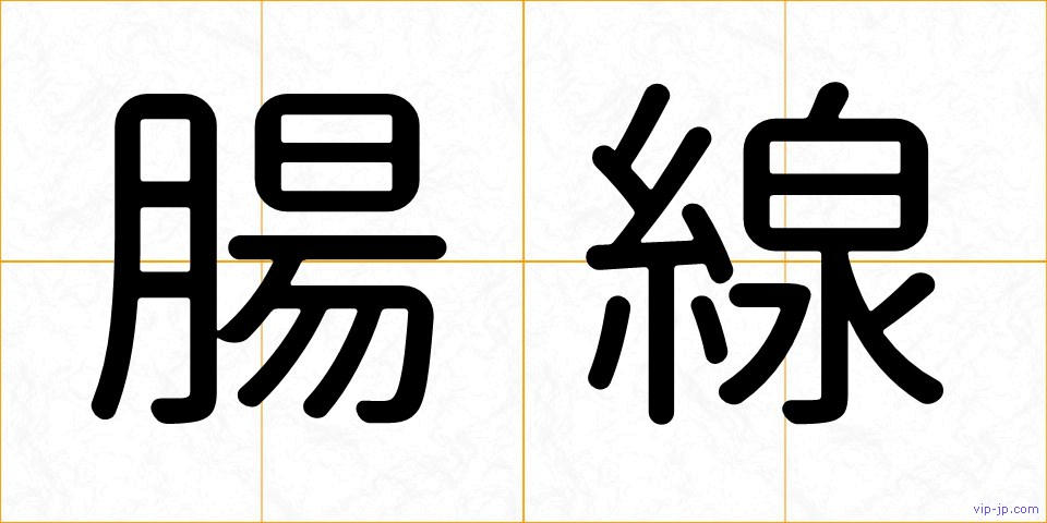 腸線の画像