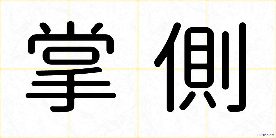 掌側の画像