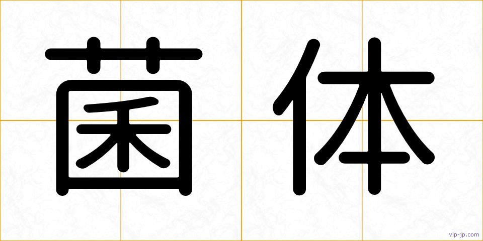 菌体の画像