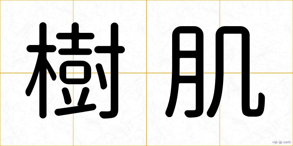 樹肌の画像