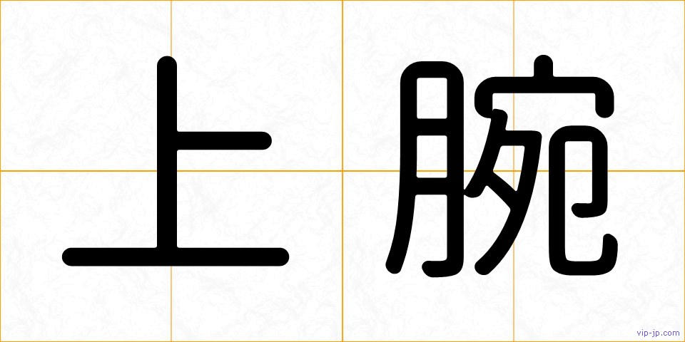 上腕の画像