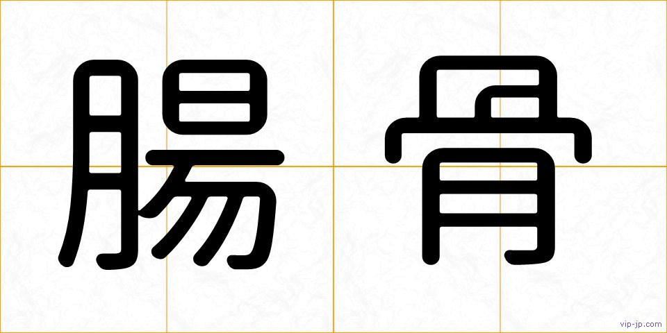 腸骨の画像