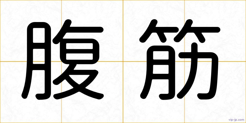腹筋の画像