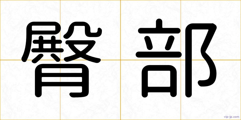 臀部の画像