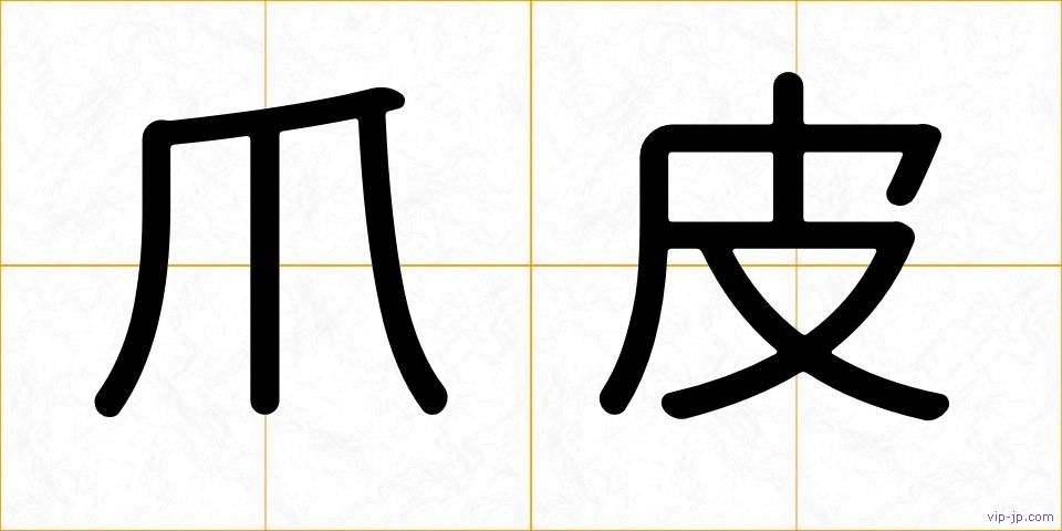 爪皮の画像