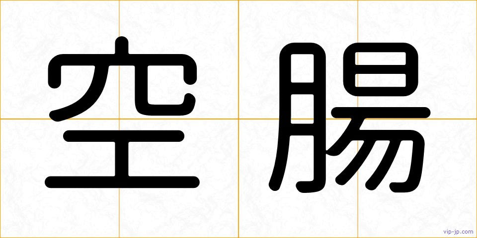 空腸の画像