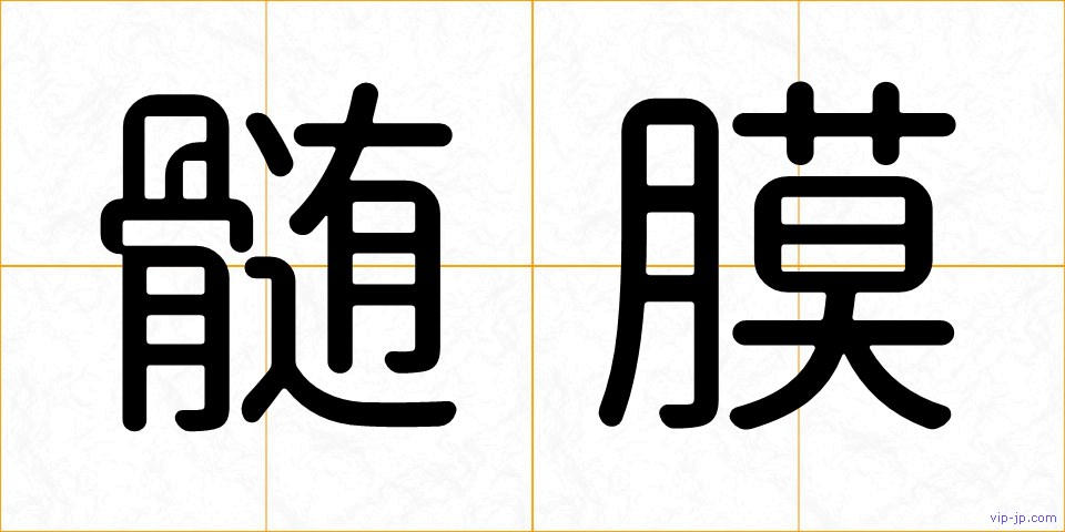 髄膜の画像