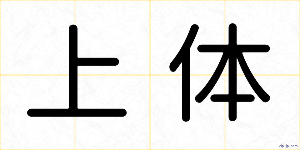 上体の画像