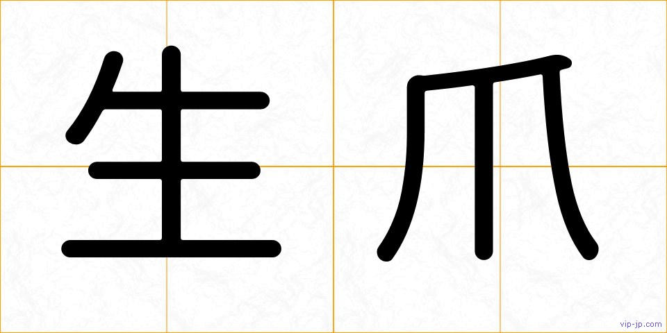 生爪の画像
