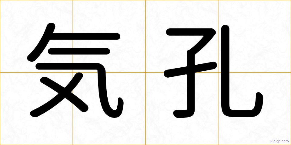 気孔の画像