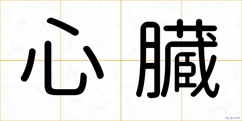 心臓の画像