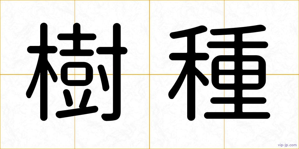 樹種の画像