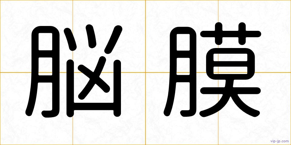 脳膜の画像
