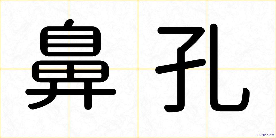 鼻孔の画像