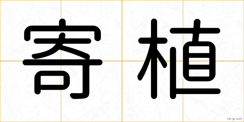 寄植の画像