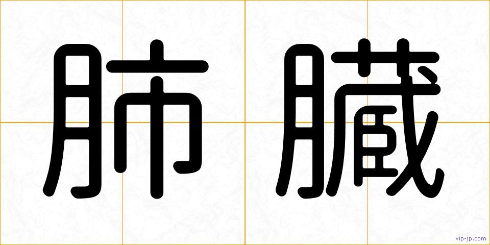 肺臓の画像