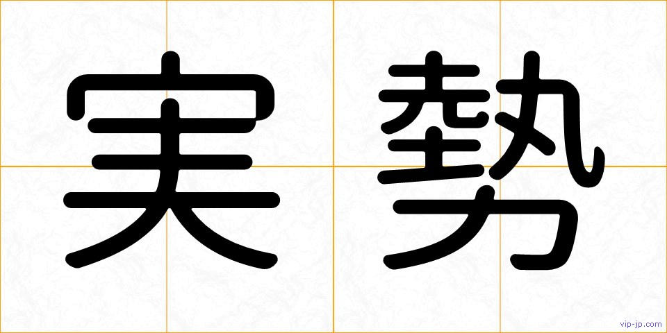 実勢の画像