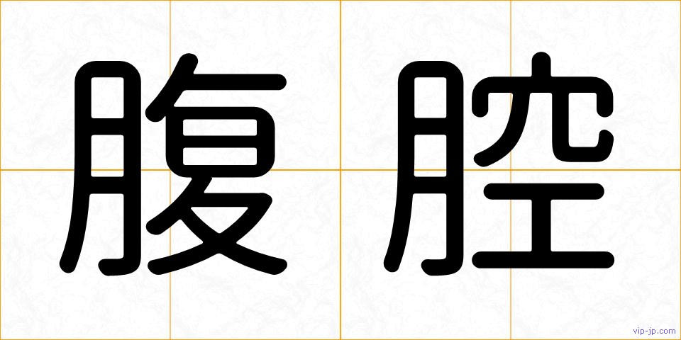 腹腔の画像
