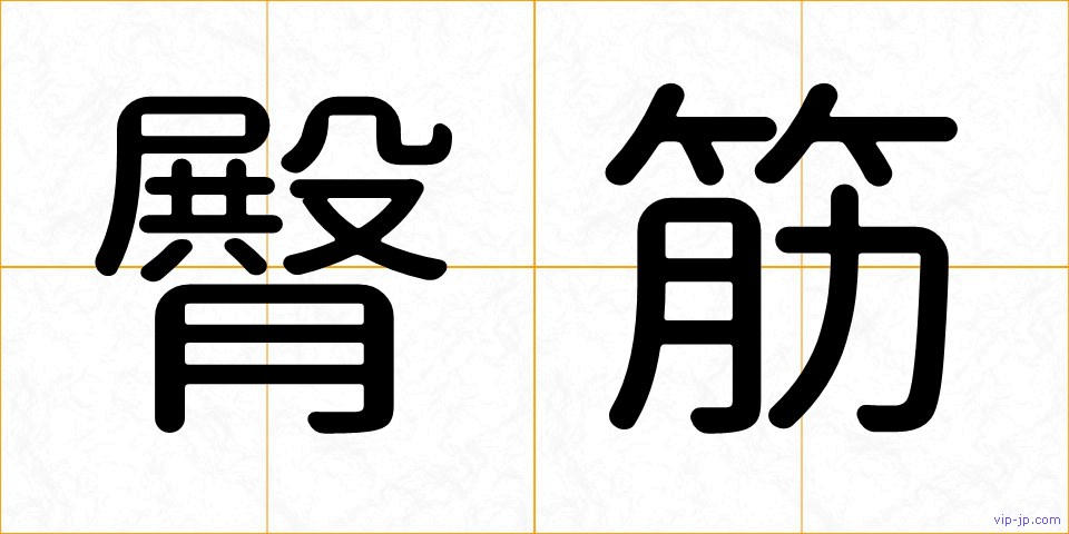 臀筋の画像