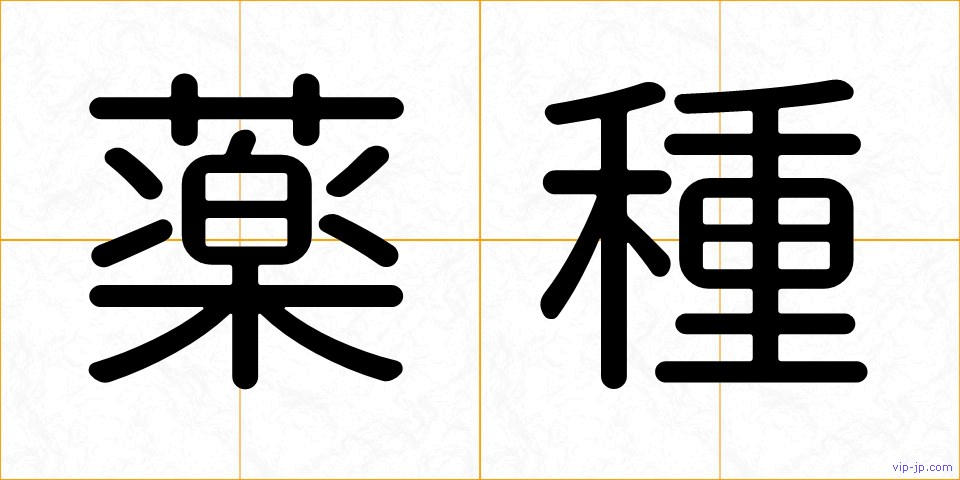 薬種の画像