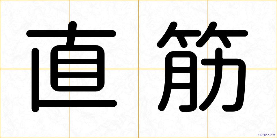 直筋の画像